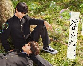 老seo是什么意思